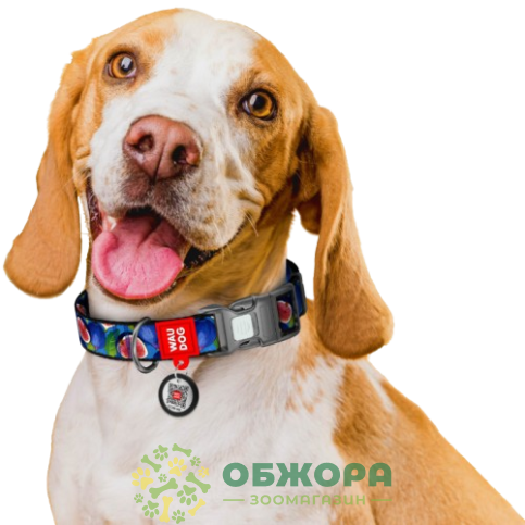 Collar WauDog Nylon_3