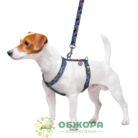 Collar WauDog Nylon_2