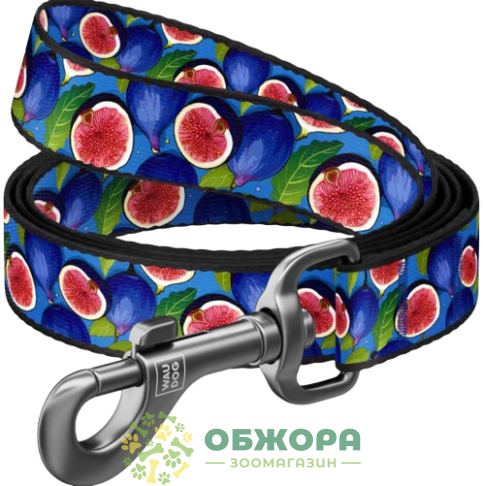 Collar WauDog Nylon