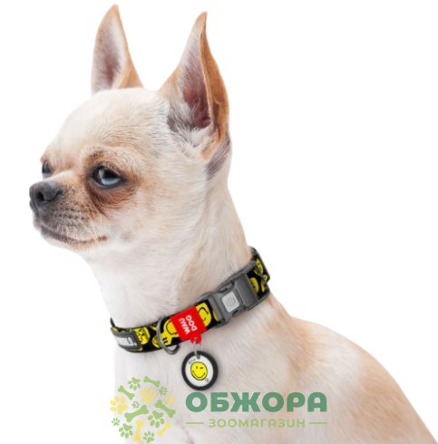 Collar WauDog Nylon Smiley World_3