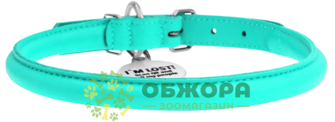 Collar WauDog Glamour_1