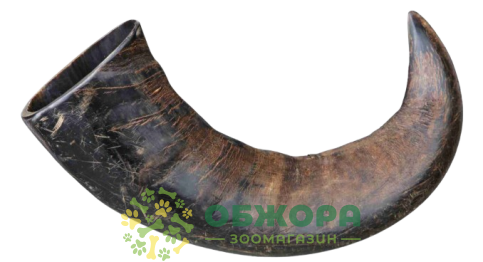 Trixie Buffalo Chewing Horn_2