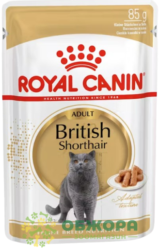 Royal Canin British Shothair вологий корм для котів породи Британська короткошерста, в соусі