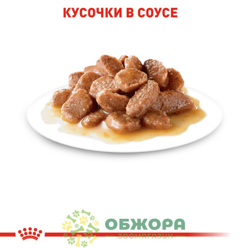 Royal Canin Instinctive влажный корм для привередливых котов, в соусе_1