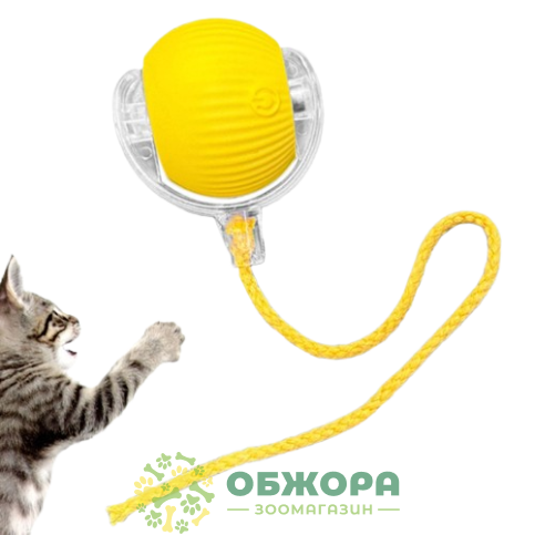 Интерактивный мяч для котов, с веревкой_1