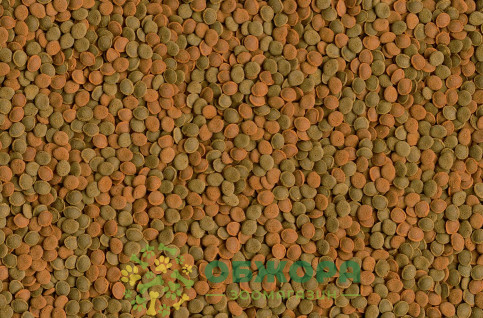 Tetra Wafer Mix_3