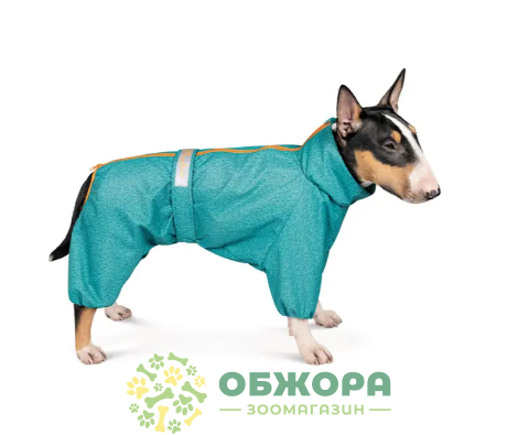 Pet Fashion RAIN_1