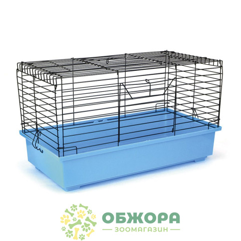 Лорі Кролик_1