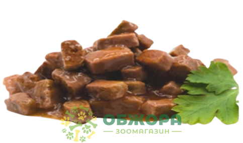 Пан Кот_1