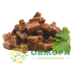 Пан Кот_1