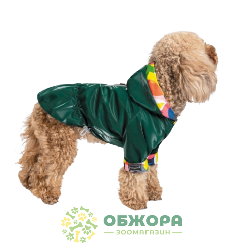 Pet Fashion Air_3