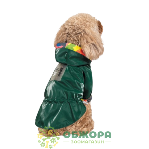 Pet Fashion Air_4