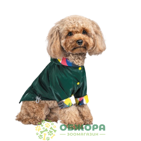 Pet Fashion Air_1