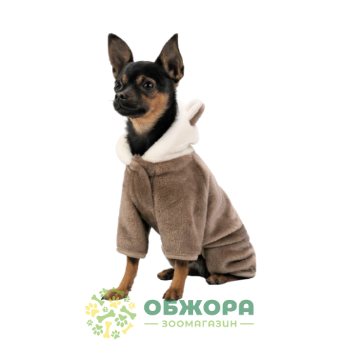 Pet Fashion Alf_1