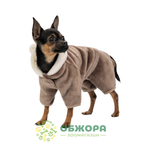 Pet Fashion Alf_2