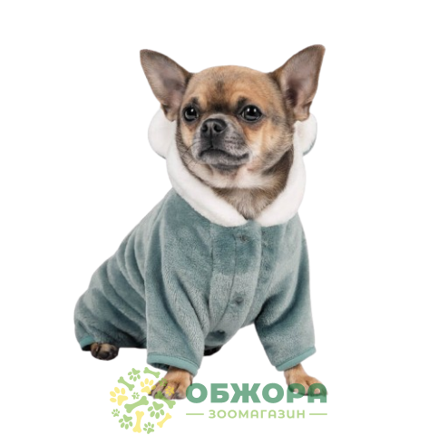 Pet Fashion Alf_1