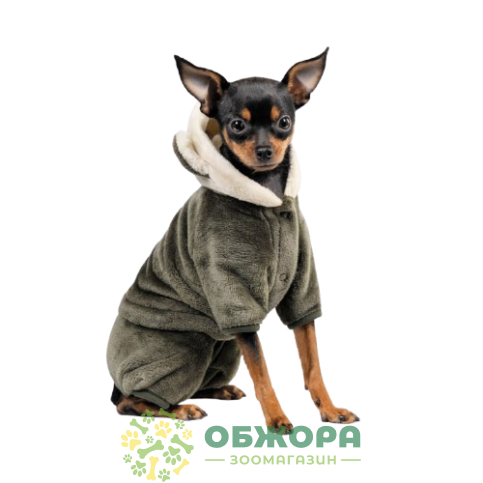 Pet Fashion Alf_2