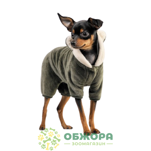 Pet Fashion Alf_1