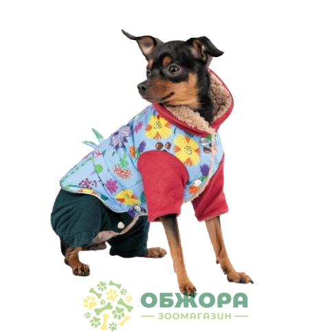 Pet Fashion Alisa_2