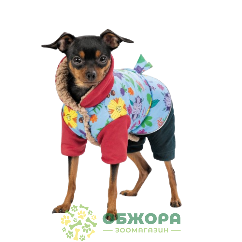 Pet Fashion Alisa_1