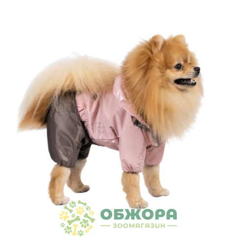 Pet Fashion Ariel_1