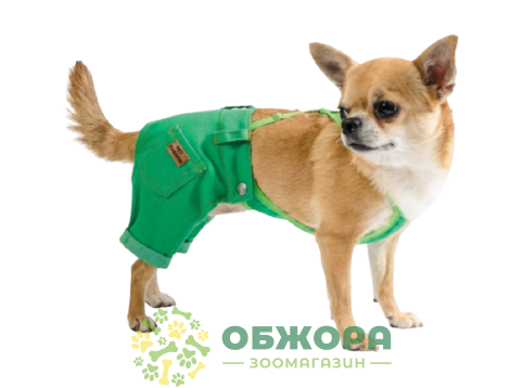 Pet Fashion Арні_1