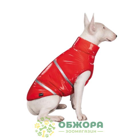 Pet Fashion Big Boss_2