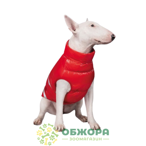 Pet Fashion Big Boss_1