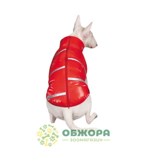 Pet Fashion Big Boss_3