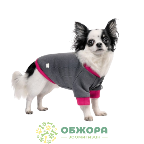 Pet Fashion Bim_2