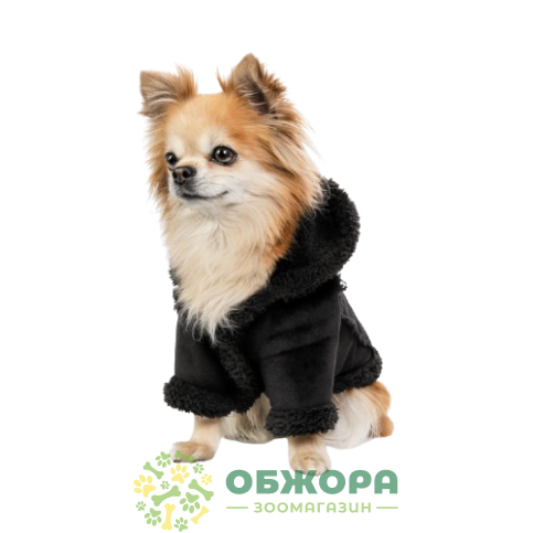 Pet Fashion Black_1