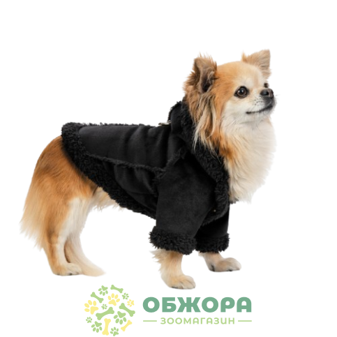 Pet Fashion Black_2