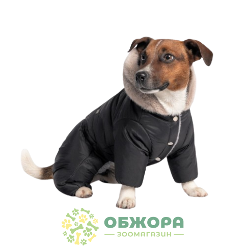 Pet Fashion Black_1