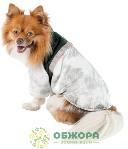 Pet Fashion Bony куртка для собак, бело-зеленая_1