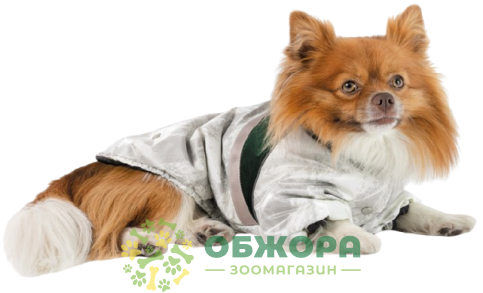 Pet Fashion Bony куртка для собак, бело-зеленая_2