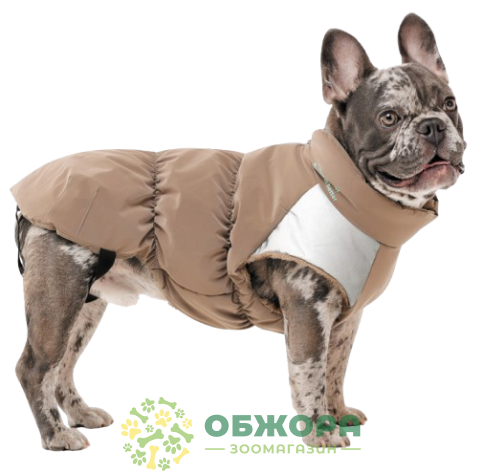 Pet Fashion Chip жилет для собак со светодиодом_3