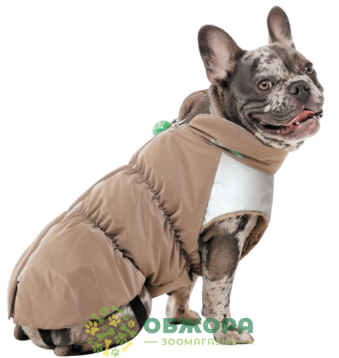 Pet Fashion Chip жилет для собак со светодиодом_1