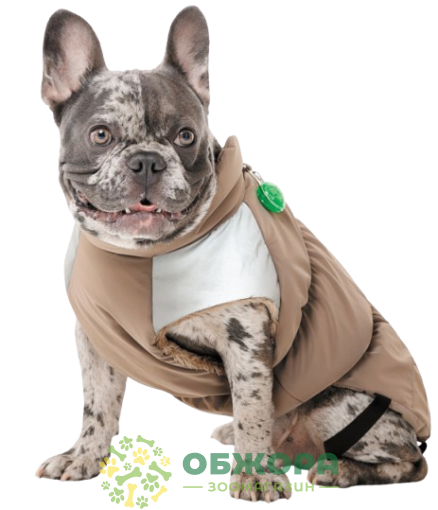 Pet Fashion Chip жилет для собак со светодиодом_2