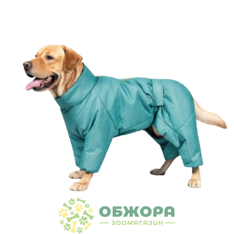 Pet Fashion Cold Active_2