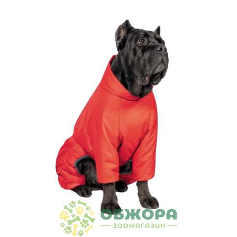 Pet Fashion Cold Active_1