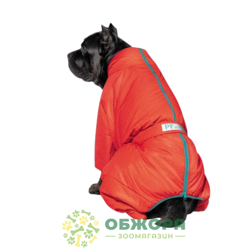 Pet Fashion Cold Active_2