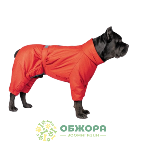 Pet Fashion Cold Active_3