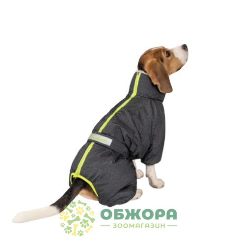 Pet Fashion Cold Active_1