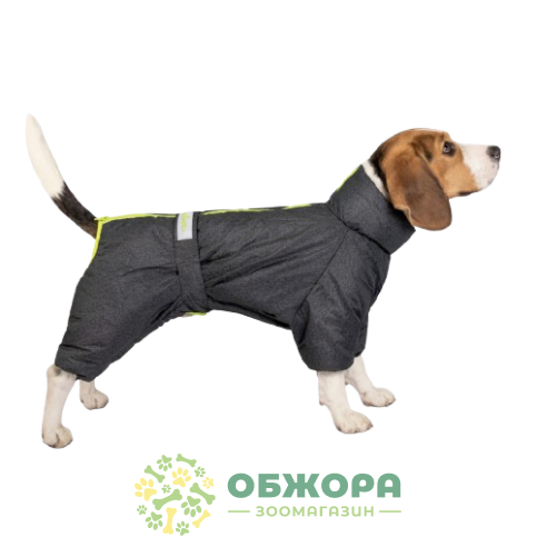 Pet Fashion Cold Active_2