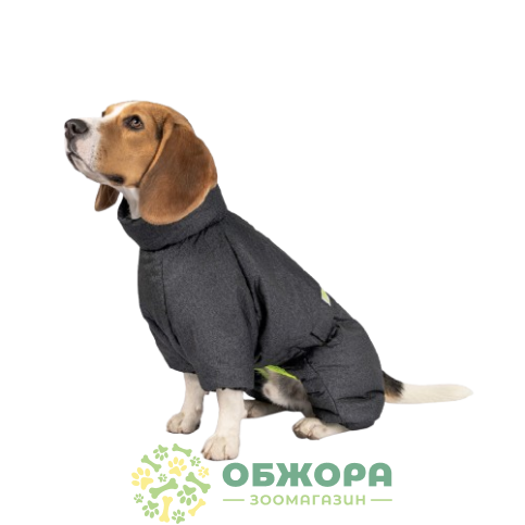 Pet Fashion Cold Active_3