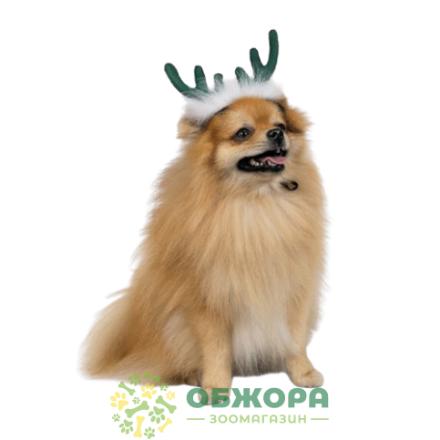 Pet Fashion Deer_1