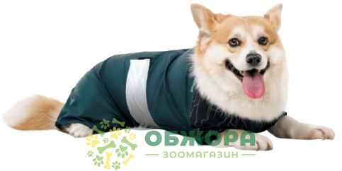Pet Fashion Den комбинезон для собак со светодиодом_1