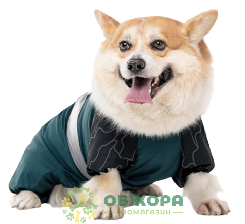 Pet Fashion Den комбинезон для собак со светодиодом_2