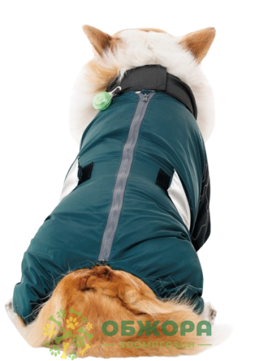 Pet Fashion Den комбинезон для собак со светодиодом_3