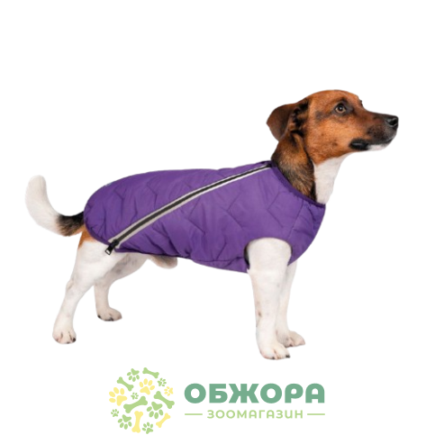 Pet Fashion E.Vest_1